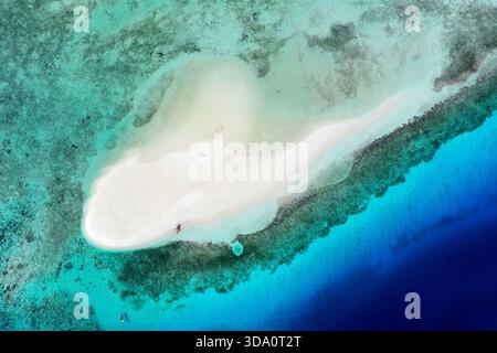 Abstraktes Luftbild einer weißen Sandbank, umgeben von Korallenriff und einem hellblauen Meer, Flores Meer, Pantar Island, Indonesien, Pazifik Stockfoto