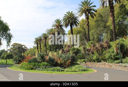 Palmen, verschiedene Sträucher und blühende Pflanzen in den Alexandra Gardens in Melbourne, Victoria, Australien Stockfoto