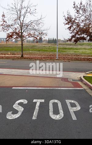 Ein Stoppschild ist auf dem Asphalt in der Nähe der Straße in einer ruhigen Gegend markiert. Bäume säumen die Seiten, und im Hintergrund ist ein Feld sichtbar. Stockfoto