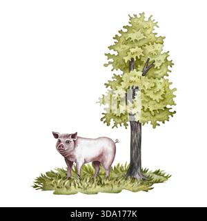 Ein Schwein steht auf dem Gras unter einem Baum. Die Abbildung ist handgezeichnet in Aquarell. Ein farbenfrohes Bild einer ländlichen Landschaft. Perfekt für die Herstellung Stockfoto