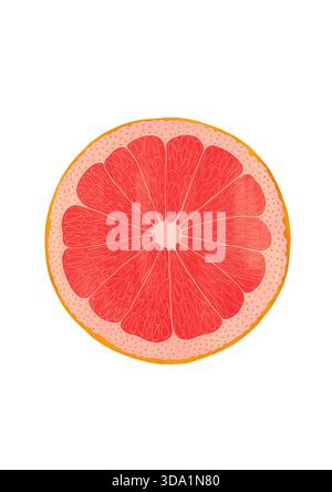 Handbemalte Gouache-Grapefruit auf transparentem Hintergrund. Lebendige Zitrustextur mit ausdrucksstarken Pinselstrichen. Perfekt für umweltfreundliche Verpackungen, gesundes Leben Stockfoto