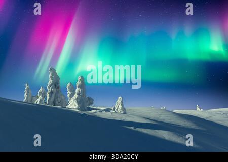 Lebendige Aurora Borealis über verschneite Berge und gefrorene Bäume. Helle Nordlichter am klaren Winternachthimmel Stockfoto