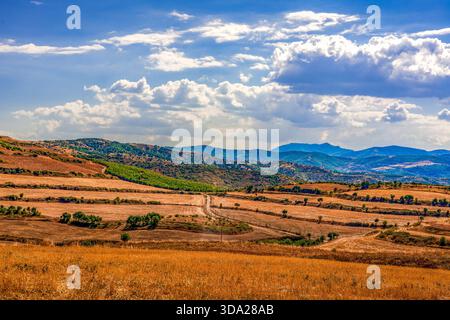 Helle Sommerlandschaft mit goldenen Feldern, rollenden Hügeln und fernen Blue Mountains unter einem Himmel der sonnendurchfluteten Wolken Stockfoto