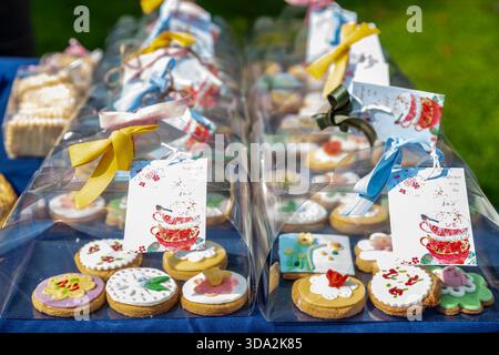 Farbenfrohe Eiskekse in durchsichtigen Kartons mit Bändern und Tags, bereit zum Geben Stockfoto