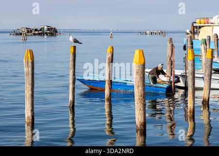 Pellestrina, Venedig, Italien - 27. Oktober 2025: Fischer arbeiten auf einem kleinen Boot in der Lagune von Venedig vor der Insel Pellestrina Stockfoto