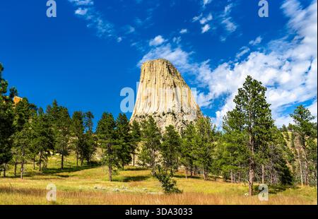 Die massive magmatische Felsformation des Devils Tower erhebt sich über den Kiefernwald in Wyoming, USA. Geologisches Wahrzeichen mit vertikaler Säulenverbindung und Geröll Stockfoto