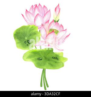 Blumenstrauß aus rosa Lotusblüten und grünen Blättern mit Wassertropfen. Chinesisches Gartenklipart. Handgezeichnete Aquarellillustration für asiatisches Thema DE Stockfoto