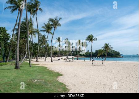 29.11.2025, Singapur, Republik Singapur, Asien - Palmen am Strand von Tanjong Beach auf der Insel Sentosa. *** 29 11 2025, Singapur, Republik Singapur, Asien Palmen am Tanjong Beach auf Sentosa Island Stockfoto