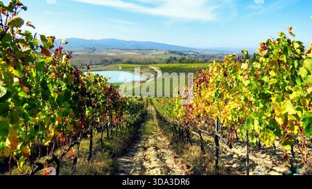 Vines with Autumnal Colors Leading to Lake and Tuscan Landscape Stockfoto