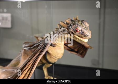 Baby Viserion VFX Puppe Game of Thrones (TV-Serie, 2011-2019) Stockfoto