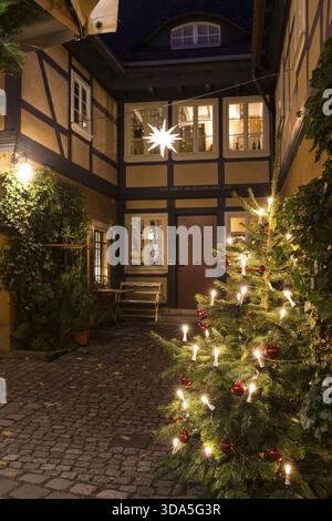 Geschmückter Weihnachtsbaum und Herrnhut Stern auf einem Fachwerkhaus im historischen Ortskern von Loschwitz während der Adventszeit, Dresden, Sachsen, Deutsch Stockfoto