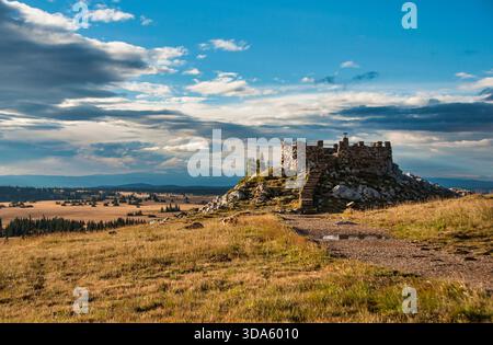 Gavia immer schwimmt auf einem ruhigen See in northwoods nahe Eagle River, Wisconsin, im Sommer in der Brutgefieder. Stockfoto