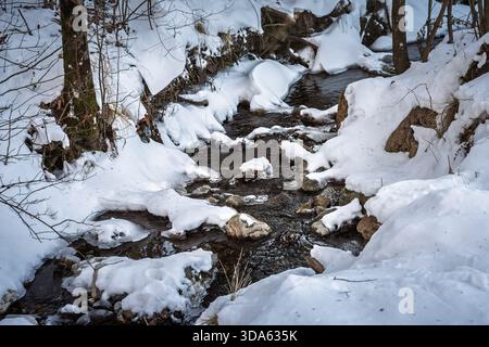 Zwischen verschneiten Ufern und Felsen fließt ein kleiner Gebirgsbach in den slowenischen Alpen. Gefrorene Kanten und klare Wellen veranschaulichen die Winterhydrologie, alpines pu Stockfoto