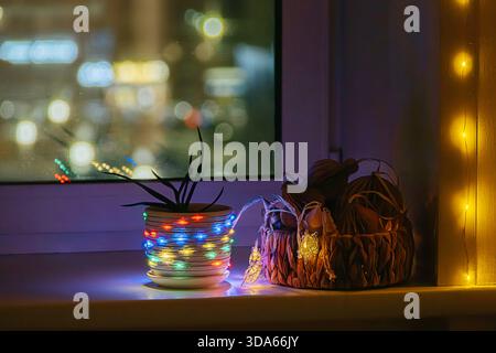 Weihnachtslichter schmücken die Zimmerpflanze auf der Fensterbank bei Nacht. Gemütliche Winterferienatmosphäre und Wohnkultur-Konzept. Stockfoto