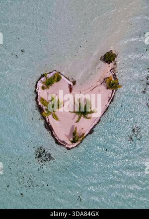 Einzigartige Drohnenaufnahme von oben nach unten eines kleinen, perfekt herzförmigen Motu (Insel) mit Palmen, symbolisiert Romantik in der Taha'a Lagune. Stockfoto