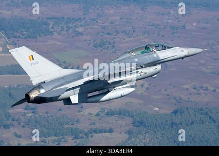 Air-to-Air-Fotografie einer belgischen Luftwaffe General Dynamics F-16 Fighting Falcon, Kennzeichen FB-20, die während der Sanicole Air Show in Belgien 2019 flog. Das Bild zeigt das Flugzeug im kontrollierten Flug mit belgischen nationalen Markierungen. Stockfoto