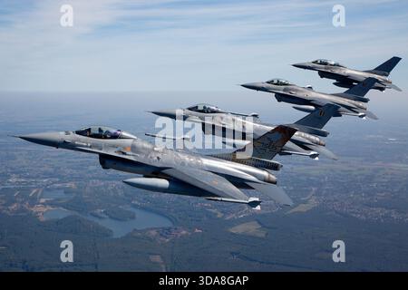 Luftaufnahme von vier Luftwaffenflugzeugen der belgischen Luftwaffe General Dynamics F-16 von der Tiger Squadron, die während der Sanicole Air Show in Belgien 2019 in enger Formation flogen. Das Bild zeigt Flugzeuge mit den Zulassungen FA-104, FA-106, FA-116 und FB-20 gegen den Himmel. Stockfoto