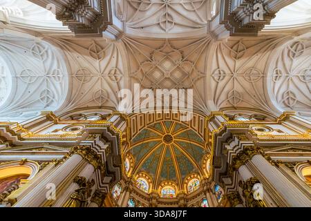 Inneres der Metropolitan Cathedral-Basilika der Inkarnation in Granada, Andalusien, Spanien. Es hat herrliche gerippte Gewölbe in verschiedenen Stilen, Gothi Stockfoto