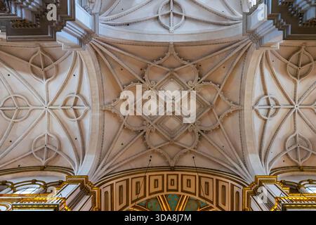 Inneres der Metropolitan Cathedral-Basilika der Inkarnation in Granada, Andalusien, Spanien. Es hat herrliche gerippte Gewölbe in verschiedenen Stilen, Gothi Stockfoto