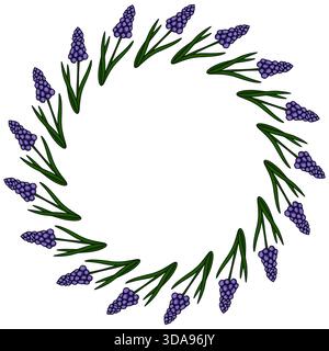 Ein zarter Vektorkranz aus blühenden violetten Muscari-Blüten mit leuchtend grünen Blättern, angeordnet in einem kreisförmigen Rahmen gegen einen sauberen weißen bac Stock Vektor