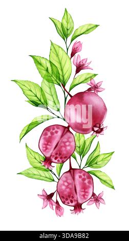 Granatapfelfrüchte und Blätter in Aquarellfarben. Transparente abstrakte vertikale Komposition. Handgemalte Kunstwerke mit roten Früchten und grünen Ästen Stockfoto