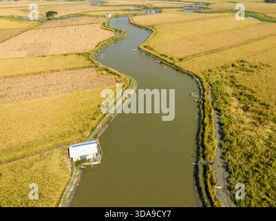Aus der Vogelperspektive eines sich windenden Flusses, der durch goldene Reisfelder führt und einen malerischen Kontrast zwischen Erde und Wasser schafft, Khulna, Khulna Divisio Stockfoto