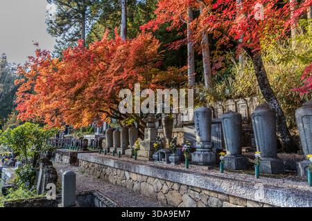 Ein Tempelfriedhof mit terrassenförmig angelegten Gräberreihen unter hellroten Ahornbäumen; die intensiven Herbstfarben setzen sich gegen die dunklen Grabstelen aus Granit, Kiso, Präfektur Nagano, Japan Stockfoto