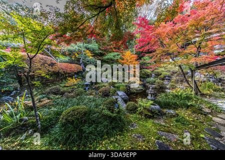 Ein japanischer Landschaftsgarten in der Region Kiso, Nagano, im Herbst: Ahornbäume (Momiji) in leuchtenden Rot- und Orangetönen, Kiefern und Moosflecken, Rahmensteinlaternen und karierte Azaleakugeln. Der Garten verfügt über klassische Elemente des japanischen Spaziergartens (Kaiyū-shiki-Garten) mit Steinpfaden und naturalistischen Pflanzen. Kiso, Präfektur Nagano, Japan Stockfoto