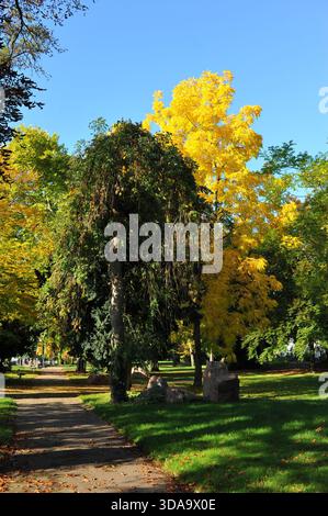 Stadt in der goldenen Jahreszeit. Goldene Momente des Herbstes Stockfoto