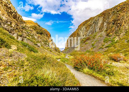 Ein schmaler Wanderweg schlängelt sich durch steile Felswände, umgeben von zerklüfteter Vegetation im Torres del Paine Nationalpark. Stockfoto