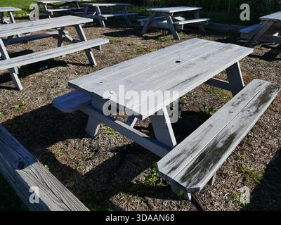 Essbereich im Freien mit verwitterten Picknicktischen aus Holz Stockfoto