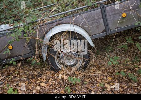 Borken, NRW, Deutschland, altes Anhängerrad und Kotflügel, bedeckt mit Dornzweigen und gefallenen Blättern in einem Wald Stockfoto