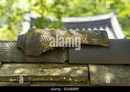 Traditionelle koreanische Dachziegel wurden sorgfältig auf die Wand gelegt, Sosewon, Südkorea Stockfoto