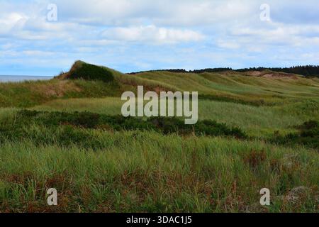 Sanfte Sanddünen an der Küste, bedeckt mit üppigem grünem Gras Stockfoto