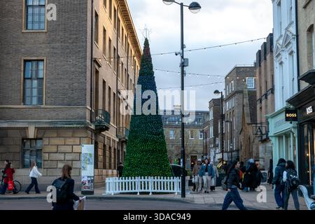 Ein großer Weihnachtsbaum steht mitten in einer Straße in Cambridge, umgeben von Geschäften und Fußgängern Stockfoto