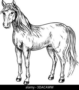 Seitliche Sicht auf das Pferd. Schwarz-weiße Vektorillustration von Hand gezeichnet. Perfekt für Pferdezuchtbetriebe, Ställe oder landwirtschaftliche Projekte. Auch geeignet Stock Vektor