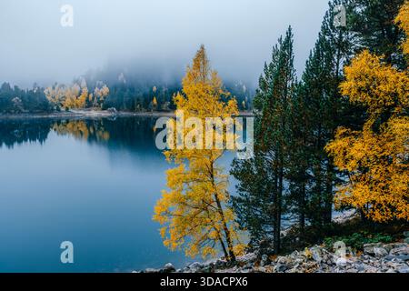 Still Lake Water reflektiert die Landschaft der Herbstberge mit farbenfrohen Wald- und Wildnisszene Stockfoto