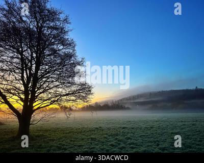 Kalter, frostiger, nebeliger Wintermorgen in der Nähe von Cardiff, Wales Stockfoto