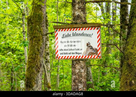 Melden Sie sich im Wald an und bitten Sie die Wanderer, auf den Wegen zu bleiben und Hunde an der Leine zu halten, Deutschland, Bayern Stockfoto