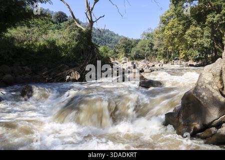 Mächtiger wilder Fluss mit schnell fließendem Wasser, das durch die malerische Waldlandschaft strömt. Eine ruhige Aussicht auf die Natur zeigt einen ungezähmten Bach, der über große Felsen kaskadiert Stockfoto