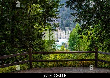 Ein malerischer Blick auf den Kootenay River, der durch die Bäume von einem ruhigen Wanderweg im umliegenden Wald aus gesehen wird Stockfoto