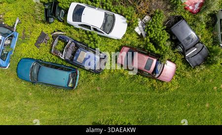 Mehrere alte, rostende Autos verteilen sich auf einem üppig grünen Feld mit bewachsenem Gras. Stockfoto