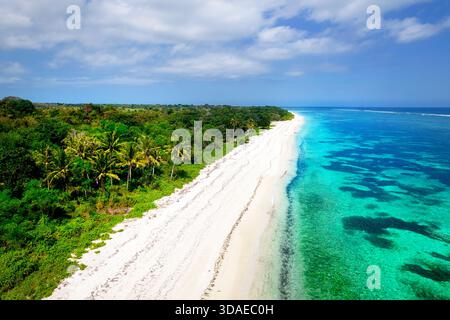 Aus der Vogelperspektive auf der Insel sumba in indonesien, langer weißer Sandstrand mit Palmen und Korallenriff, Insel sumba, indonesien Stockfoto