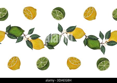 Nahtloser Aquarellrand aus Zitronen und Limetten auf weißem Hintergrund, mit ganzen Früchten und geschnittenen Segmenten mit lebhaften Zitrustönen und zartem B Stockfoto