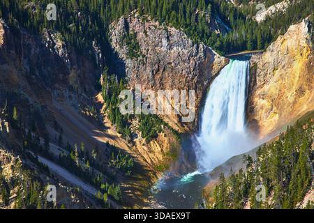 Lower Falls Waterfall und Canyon mit Pine Forest im Yellowstone National Park Stockfoto