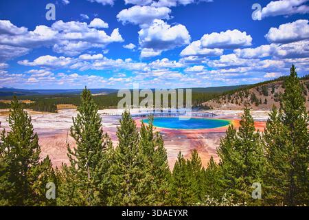 Grand Prismatic Spring farbenfrohe heiße Quelle und Wald im Yellowstone-Nationalpark Stockfoto