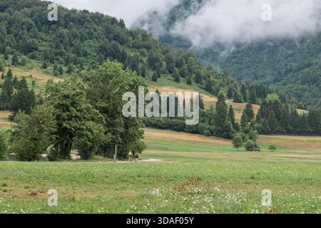 Üppig grüne Wiese mit Wildblumen, Bäumen und Wanderern auf dem Weg, mit bewaldeten Hügeln und nebeligen Bergen im Hintergrund. Stockfoto