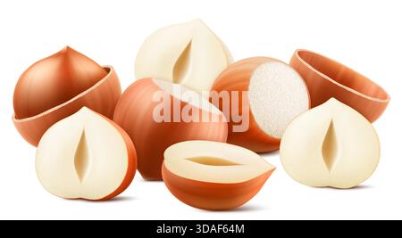 Set realistischer Haselnüsse. Ganze und halbe Haselnuss isoliert auf weißem Hintergrund. Geschälte und ungeschälte Nüsse. Haselnusskerne sind reif und lecker, eine Sou Stock Vektor