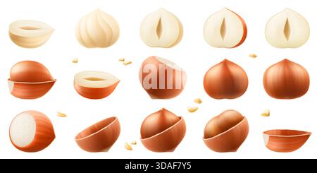 Set realistischer Haselnüsse. Ganze und halbe Haselnuss isoliert auf weißem Hintergrund. Geschälte und ungeschälte Nüsse. Haselnusskerne sind reif und lecker, eine Sou Stock Vektor