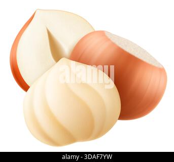 Set realistischer Haselnüsse. Ganze und halbe Haselnuss isoliert auf weißem Hintergrund. Geschälte und ungeschälte Nüsse. Haselnusskerne sind reif und lecker, eine Sou Stock Vektor
